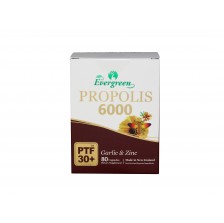 에버그린 프로폴리스 6000mg 80캡슐