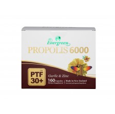 에버그린 프로폴리스 6000mg 160캡슐